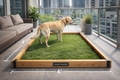 PAWPARK 4' X 6'