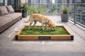 PAWPARK 2' X 4'